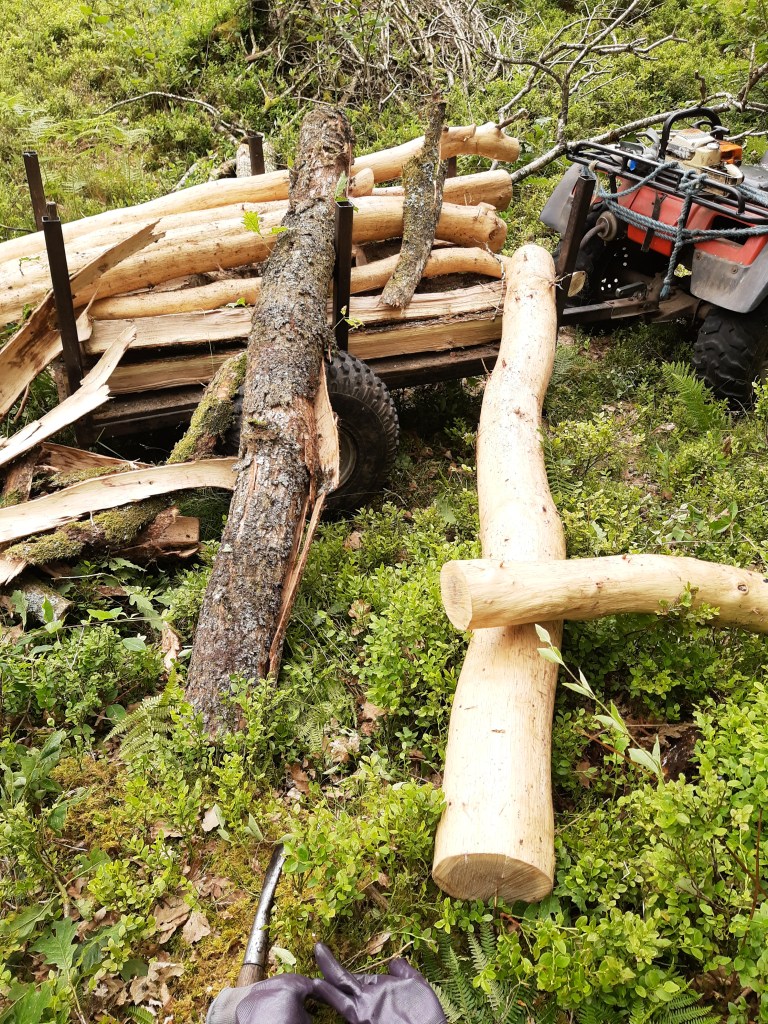 In a clearing in a wood. Two similar logs lean against a small trailer. One is pale without bark,  next to it is the bark 'jacket'.