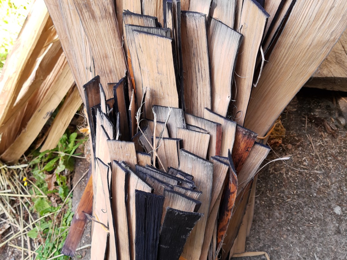 Weaving the Land: Oak